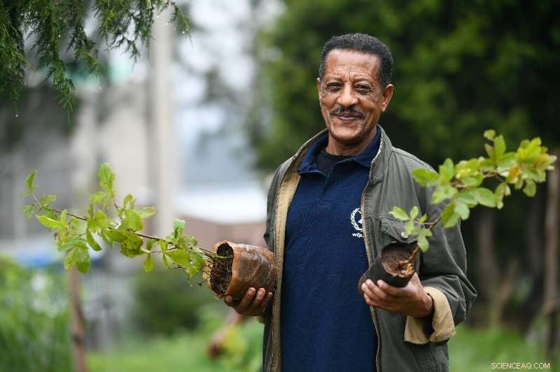 Ethiopia Launches Ambitious Plan to Plant 4 Billion Trees for a Greener Future