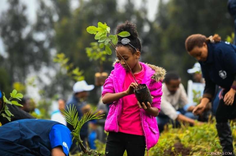 Ethiopia Launches Ambitious Plan to Plant 4 Billion Trees for a Greener Future