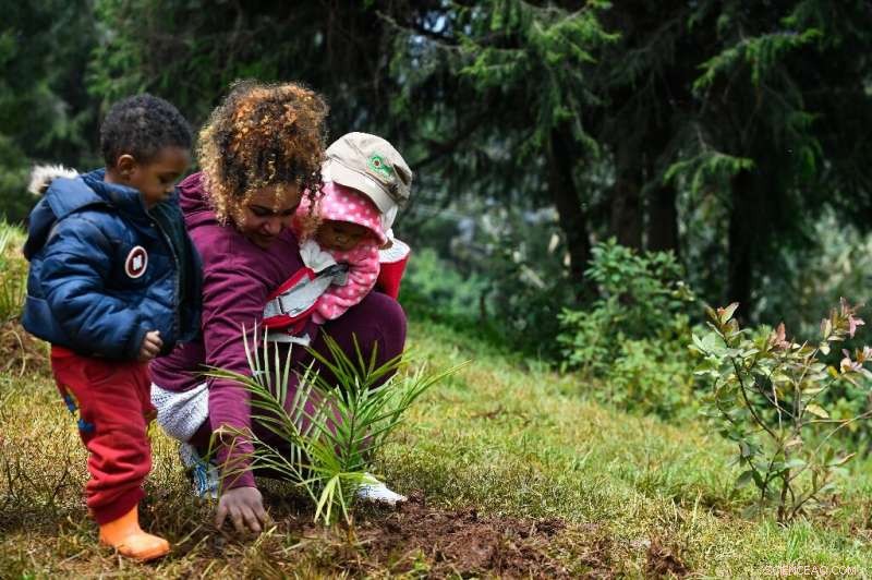 Ethiopia Launches Ambitious Plan to Plant 4 Billion Trees for a Greener Future