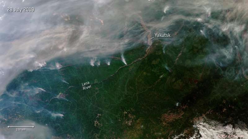 Satellite Snapshot of Siberian Wildfires: 2019 Orbital View
