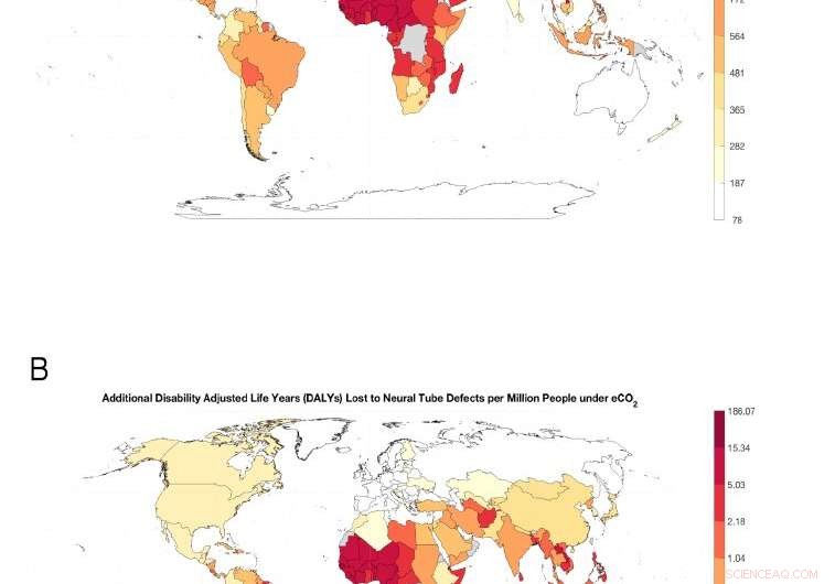 Higher CO₂ Levels Threaten Rice Nutrient Quality, Raising Global Health Risks