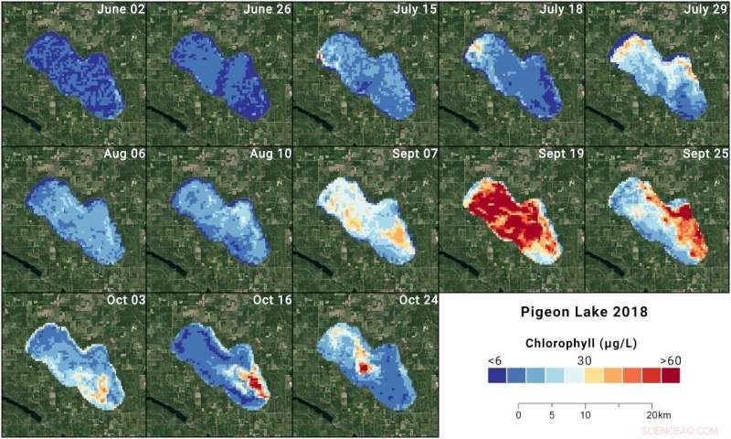Alberta Lakes Face Delayed Blue‑Green Algae Bloom: What You Need to Know