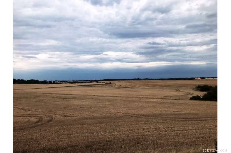 EU Agriculture Faces Viability Crisis Ahead