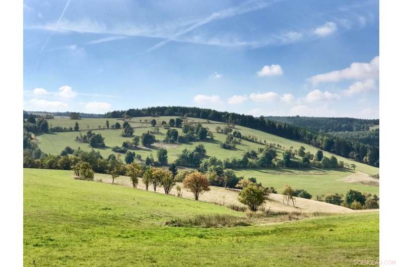 EU Agriculture Faces Viability Crisis Ahead