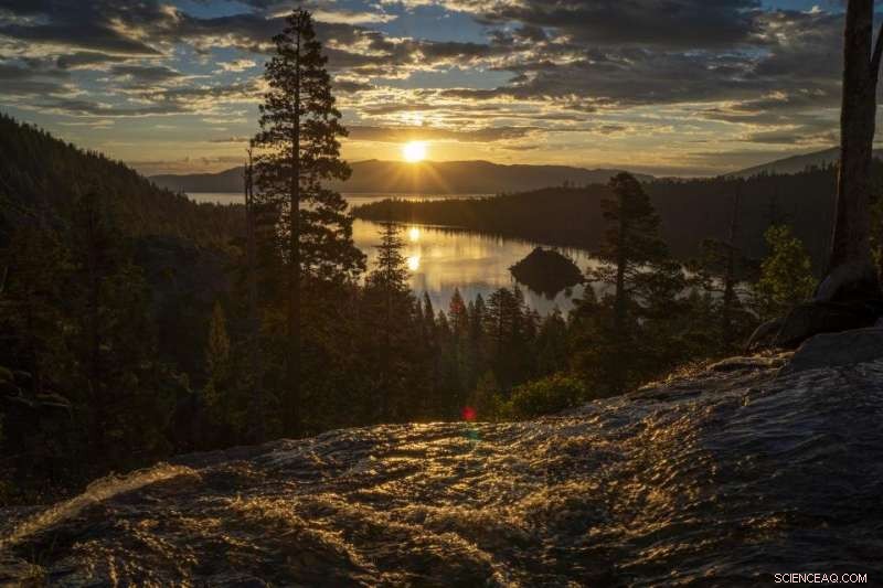 Eliminating Tiny Shrimp Could Preserve Lake Tahoe’s Clear Waters Amid Climate Change