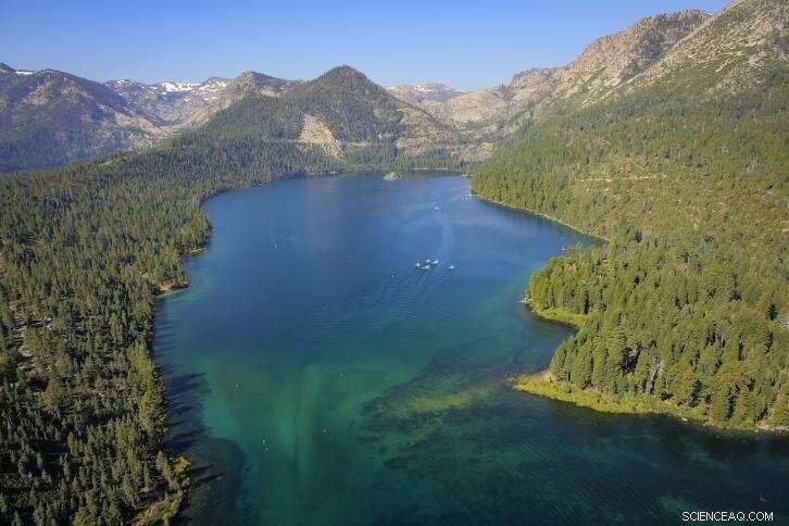Eliminating Tiny Shrimp Could Preserve Lake Tahoe’s Clear Waters Amid Climate Change