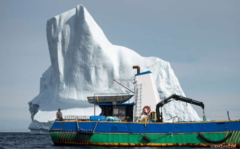 Canadian Fisherman Pursues Icebergs for White Gold in the North Atlantic