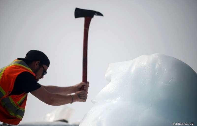 Canadian Fisherman Pursues Icebergs for White Gold in the North Atlantic