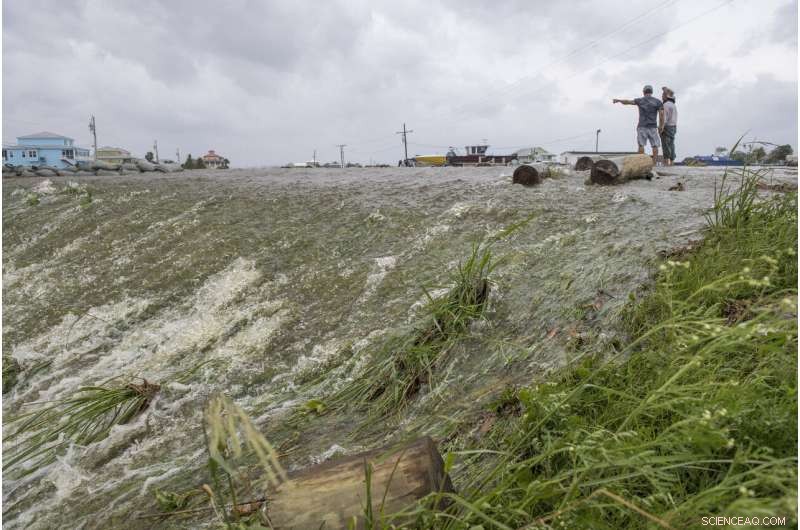 Hurricane Barry Shrinks Gulf Dead Zone, Yet Remains the 8th Largest in the Region
