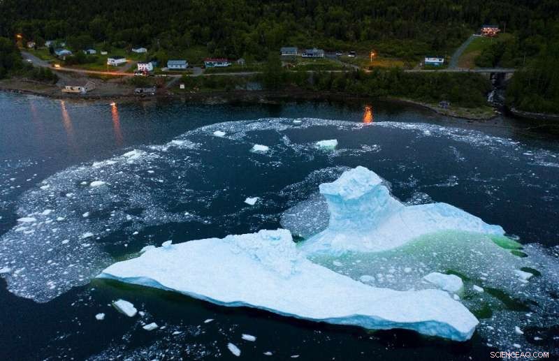 Iceberg Corridor Drives Record Tourism Surge Along Canada’s East Coast