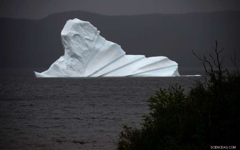 Iceberg Corridor Drives Record Tourism Surge Along Canada’s East Coast