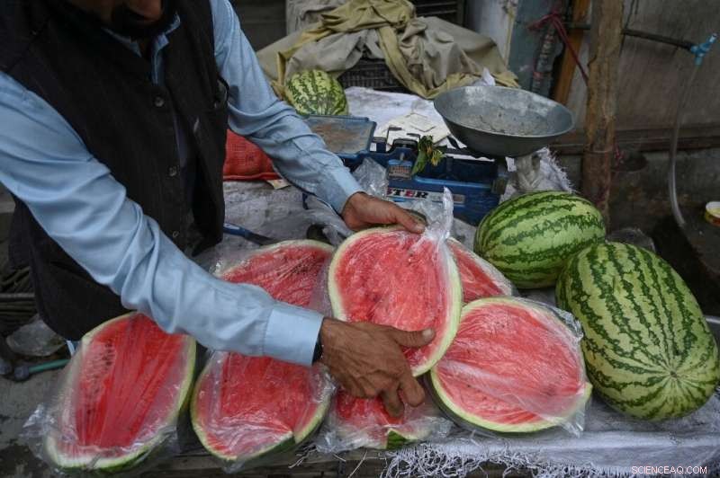 Pakistan’s Plastic Crisis: The Hidden Cost of a Toxic Love Affair