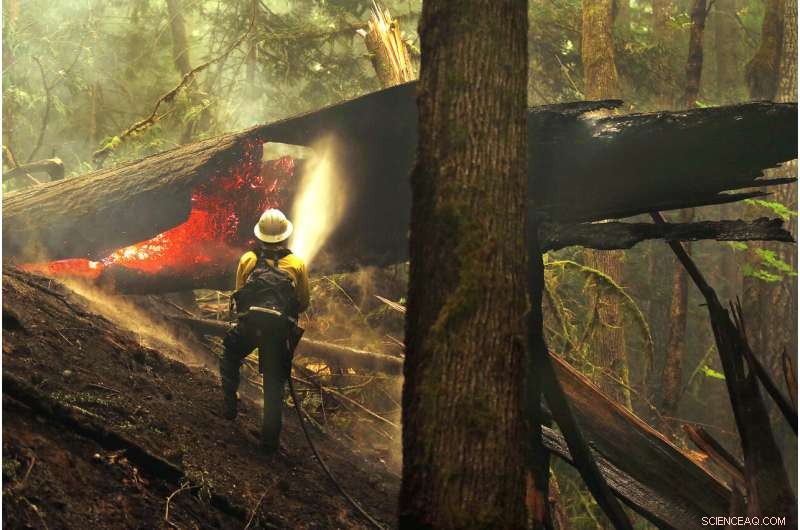 Northwest U.S. Towns Alarmingly Unprepared for Rising Fire Threats