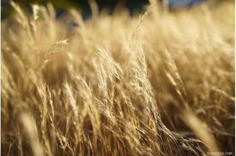 July Heatwave May Be 3°C Warmer Than Normal, Scientists Warn