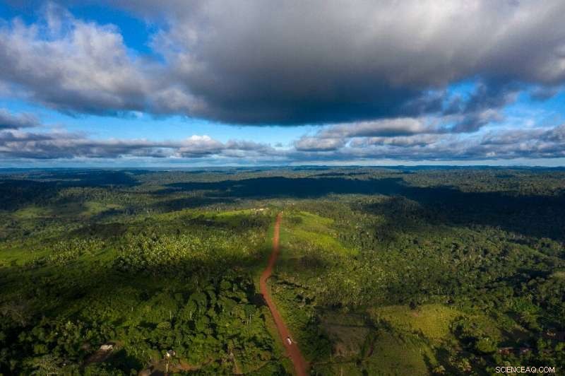 The Ecological Land Crisis: Competing Demands for Food, Fuel, and Forests