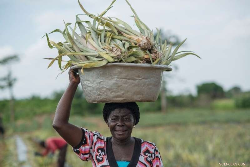 Empowering Women: The Key to Sustainable Agriculture