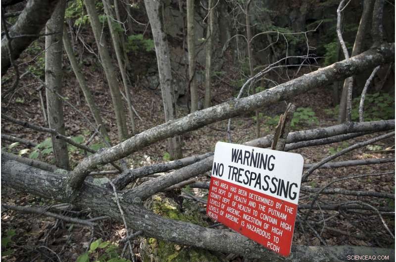 Arsenic Site Cleanup Begins 32 Years After Poisoning Incident