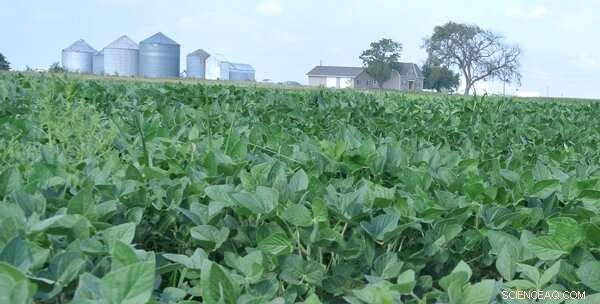 How Trade Tariffs Spark Innovative Supply Chain Solutions