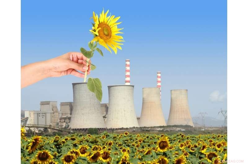 Green Growth: A Trusted Climate Solution Facing Real Challenges