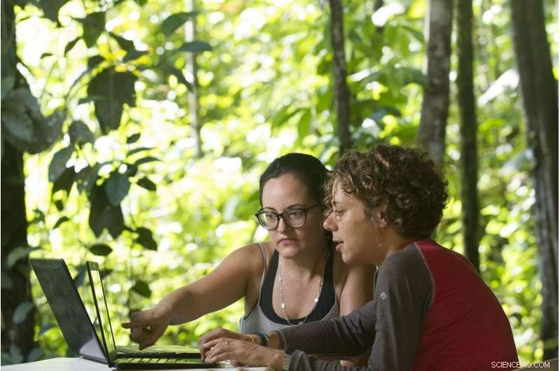 Understanding the Limits of Rainforest Growth: Implications for Climate Resilience