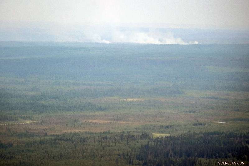 Siberia’s Forest Fires Blanketed Major Cities in Toxic Smog, Threatening Residents  Health