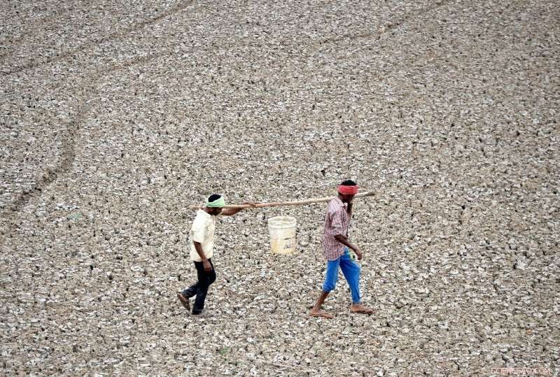 1 in 4 Global Citizens Face Critical Water Stress—Urgent Action Needed