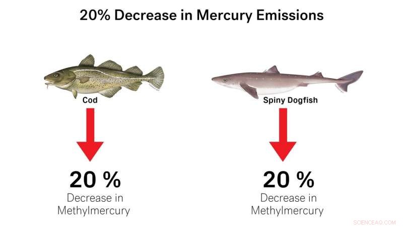 Climate Change Could Amplify Human Exposure to Harmful Methylmercury
