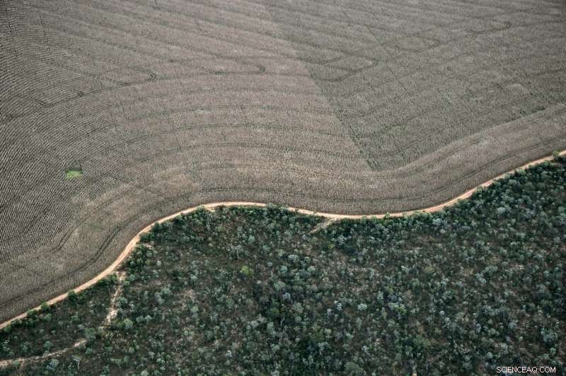 Urgent Call: Act Now to Safeguard Food Security and Climate