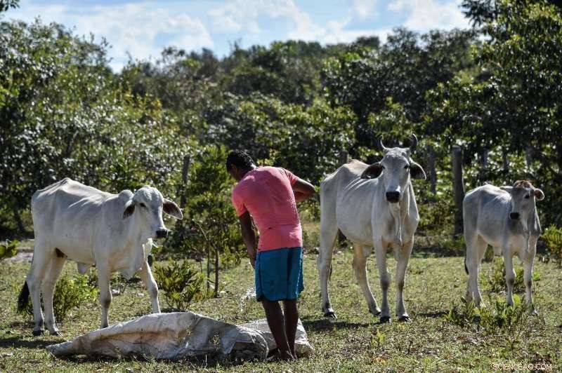 Urgent Call: Act Now to Safeguard Food Security and Climate