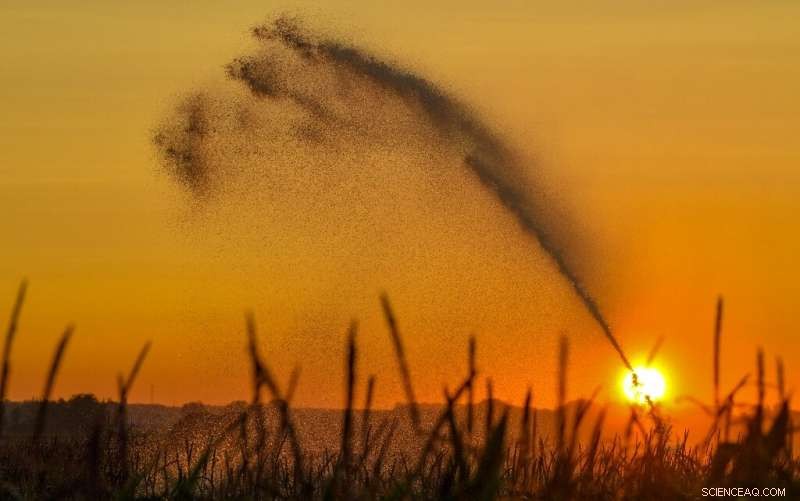 Urgent Call: Act Now to Safeguard Food Security and Climate