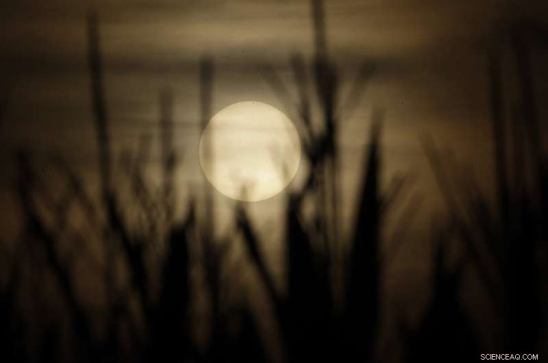 UN Climate Report Urges Land Use Reform to Prevent Global Hunger