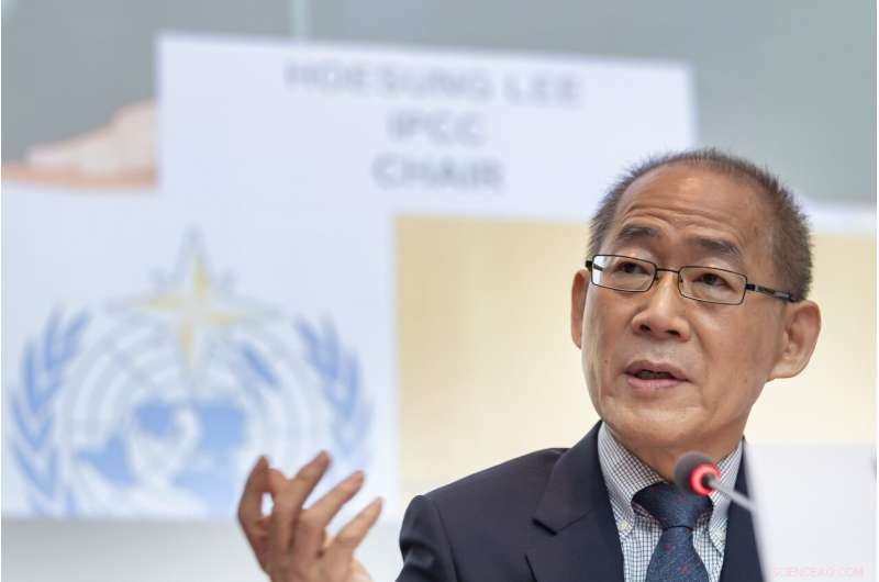 UN Climate Report Urges Land Use Reform to Prevent Global Hunger