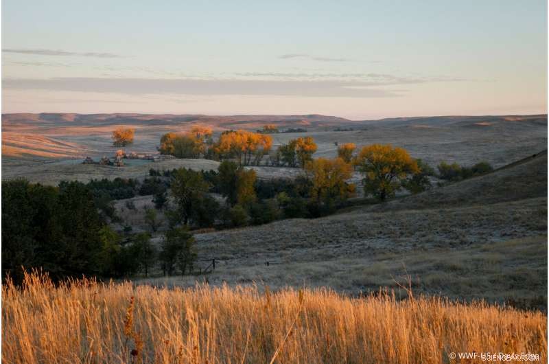 Major Report: Tackling Climate Crisis Requires Shifting Away from Harmful Land Use