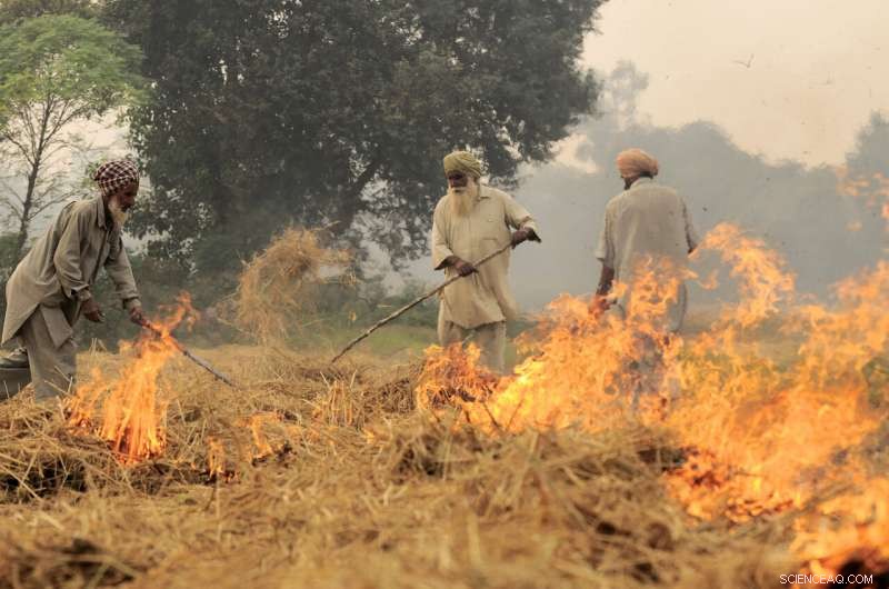 New Study Shows Farmers in Northern India Can Boost Profits and Reduce Pollution by Eliminating Crop Residue Burning