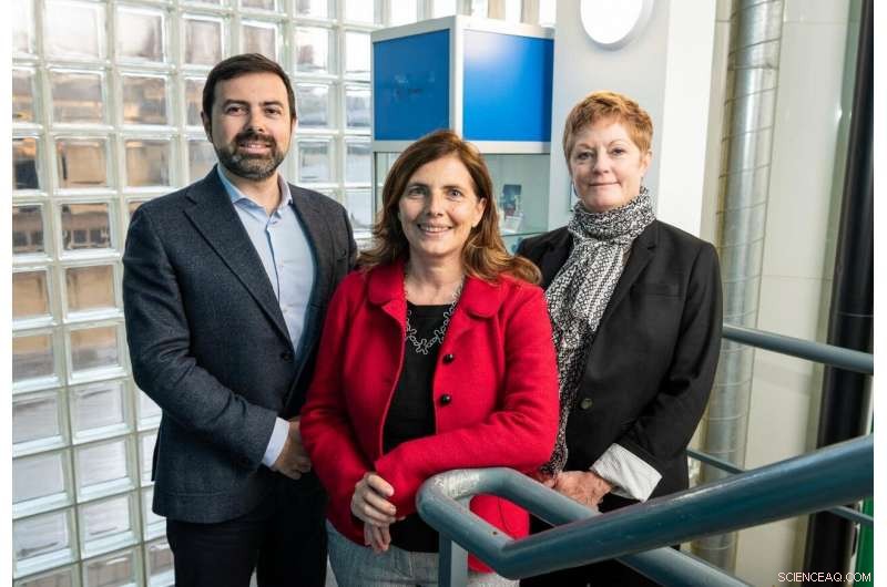 Eco-Friendly Microbead Replacement: Biodegradable Solutions for Cosmetics and Toiletries