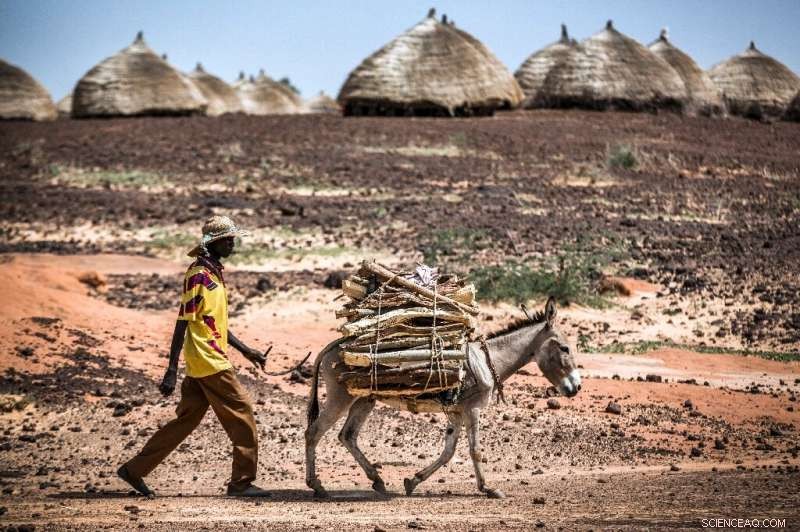 Can You Enjoy Big Macs While Minimizing Climate Impact?