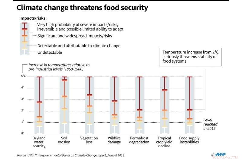Can You Enjoy Big Macs While Minimizing Climate Impact?