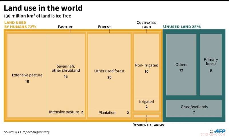 Can You Enjoy Big Macs While Minimizing Climate Impact?
