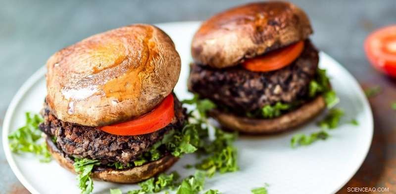 Vegan Foods: Why Sustainability Claims Must Be Comprehensive