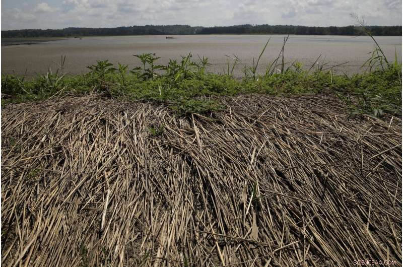 States Prepare for Prolonged Flood Response as Damage Costs Rise