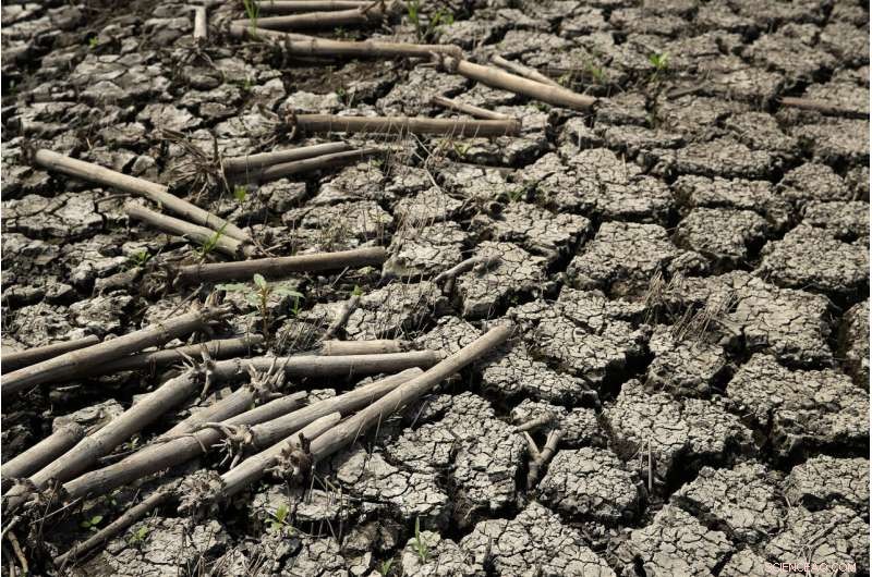 States Prepare for Prolonged Flood Response as Damage Costs Rise