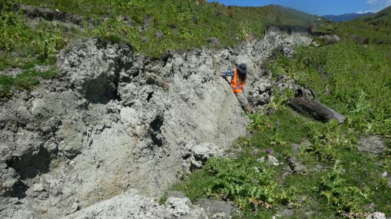 Curved Rock Scratches Reveal Predictive Clues for Upcoming Earthquakes