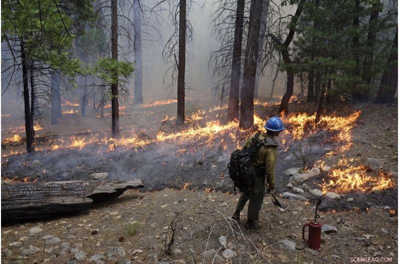 US West Faces Hurdles in Meeting Wildfire Suppression Goals
