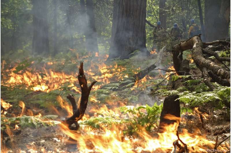 US West Faces Hurdles in Meeting Wildfire Suppression Goals