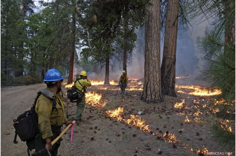US West Faces Hurdles in Meeting Wildfire Suppression Goals