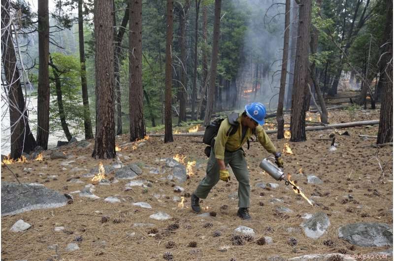 US West Faces Hurdles in Meeting Wildfire Suppression Goals