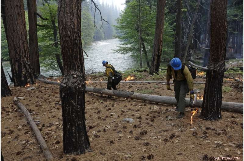 US West Faces Hurdles in Meeting Wildfire Suppression Goals