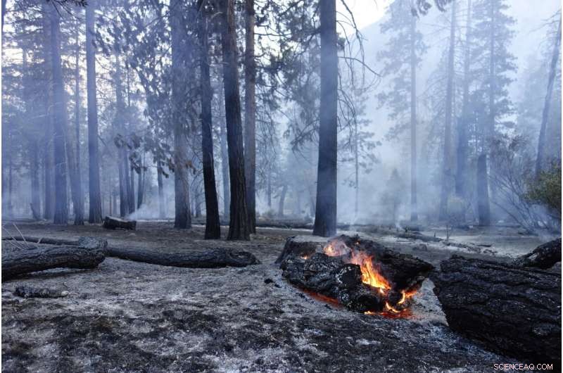 US West Faces Hurdles in Meeting Wildfire Suppression Goals