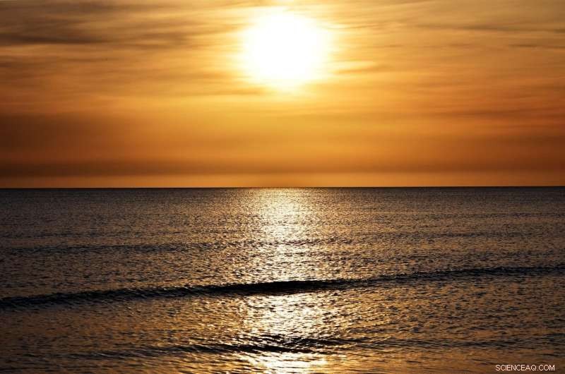 Severe Heat Wave Threatens Broad Regions of the U.S. South and Midwest