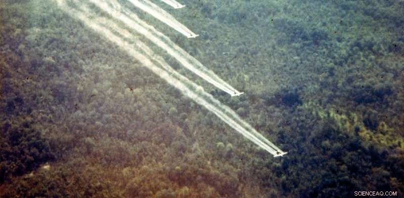 Environmental Destruction is a War Crime—Why Enforcement Remains Elusive